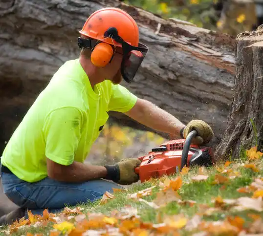 tree services Bourg